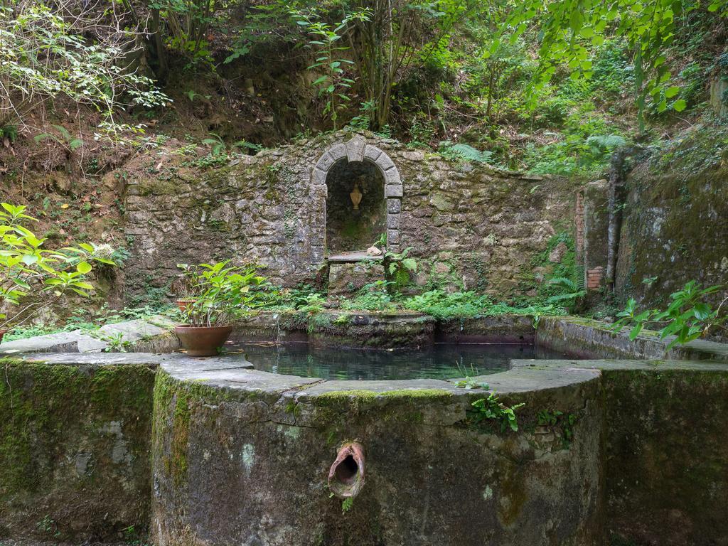 Agriturismo Le Fontanacce Pescia Bagian luar foto